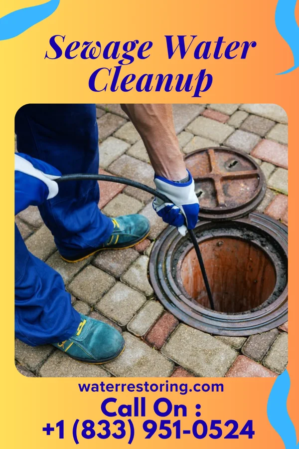 Sewage Water Cleanup in Terrytown, NE